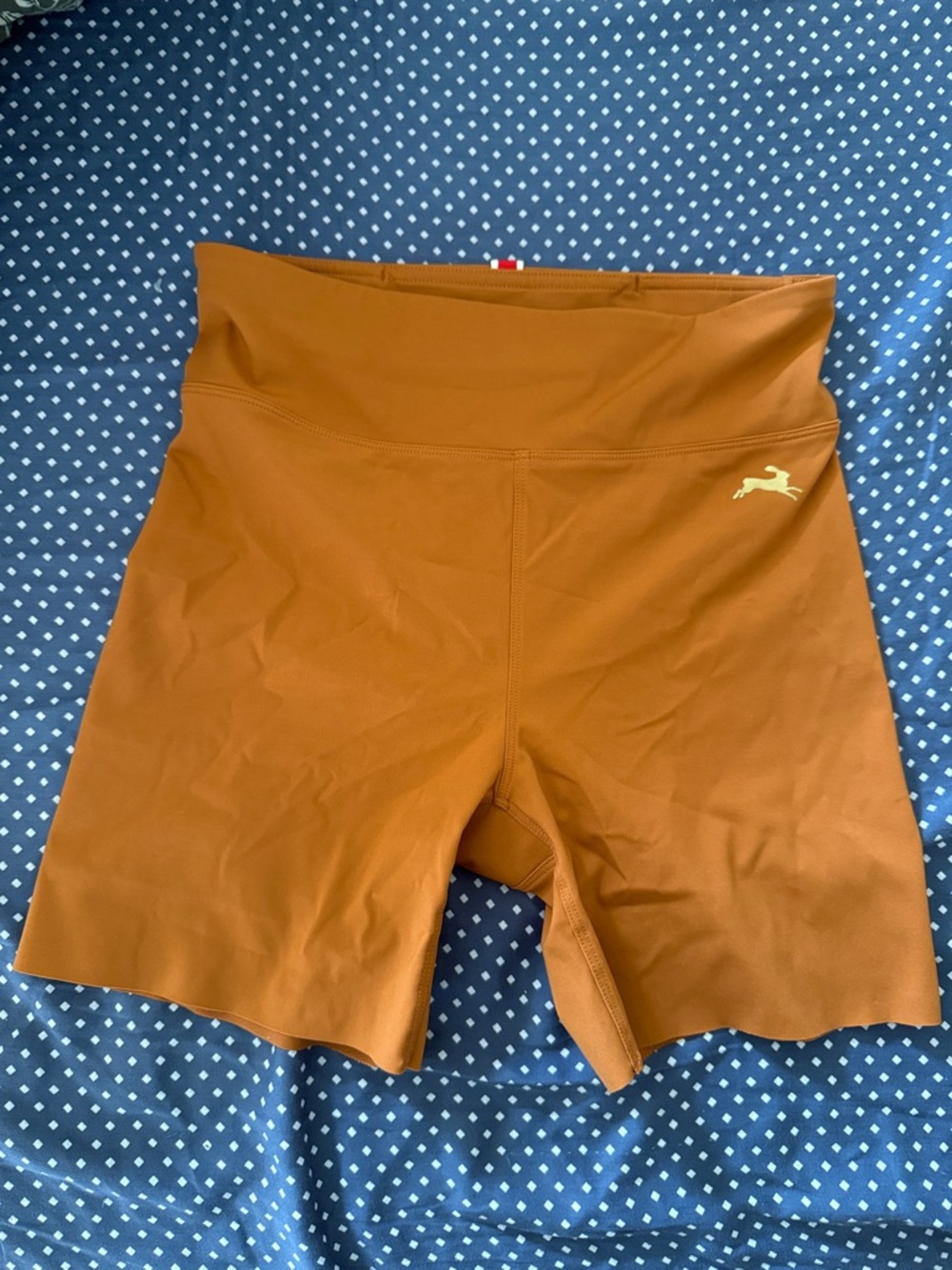 Tracksmith Allston short